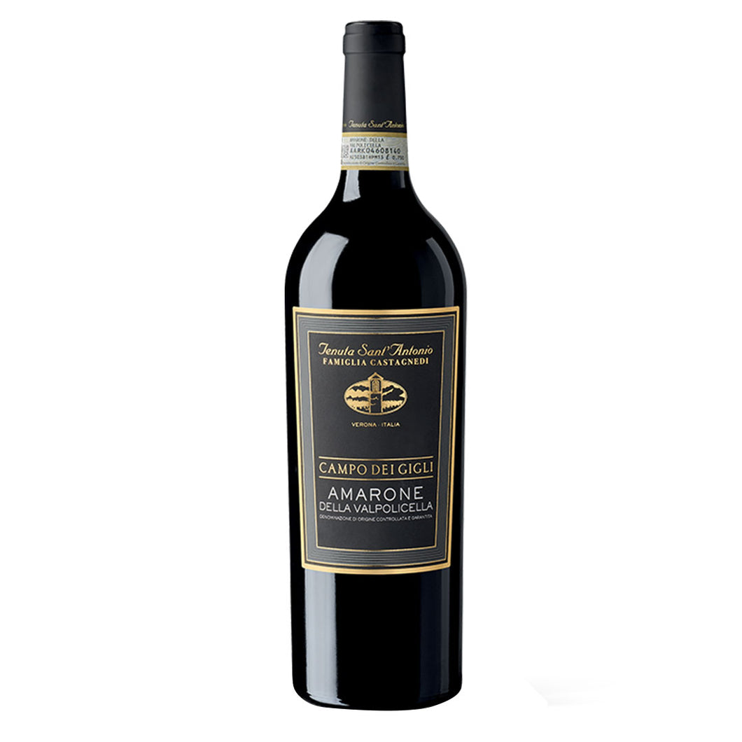 Tenuta Sant’Antonio Amarone Della Valpolicella Antonio Castagnedi 2018 (Verona, Italy), Red Wine 750ml 15%